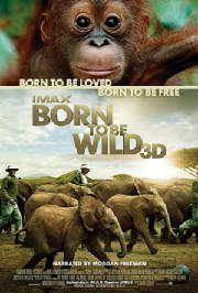 Born-To-Be-Wild-Movie-Poster.jpg