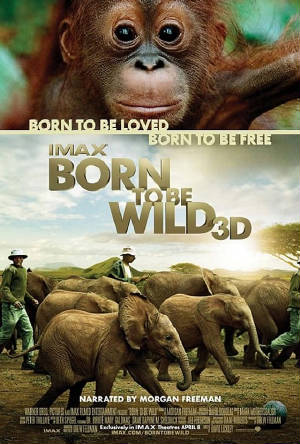Born-To-Be-Wild-Movie-Poster.jpg
