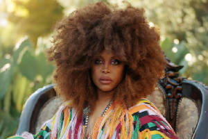 erykah_badu.jpg