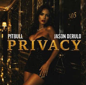 pitbull_jasonderulo_privacy_cover.jpg